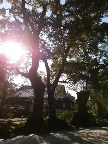 観世音寺の自然