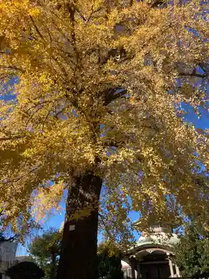妙延寺(東京都)