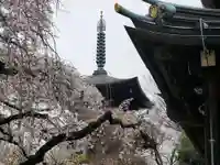 豪徳寺のその他建物