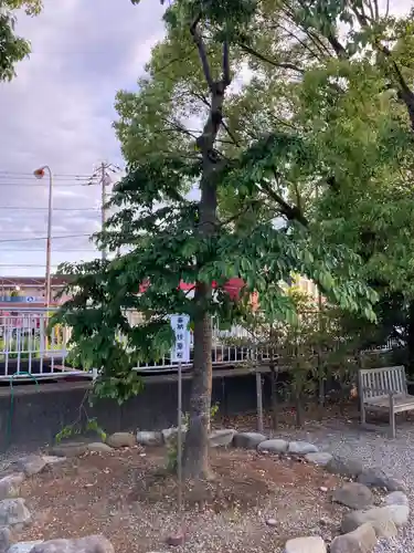 白旗神社の自然