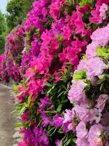 根津神社(東京都)