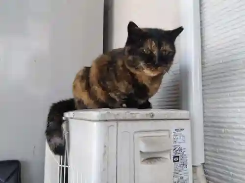 正覚寺(福井県)