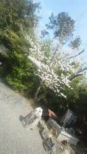 三尾神社(滋賀県)