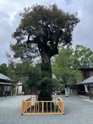 井伊谷宮(静岡県)