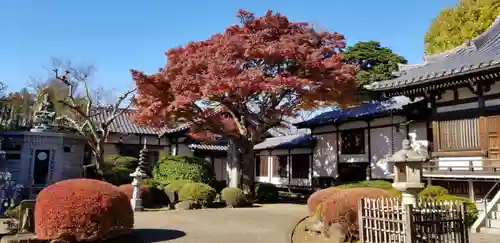 國分寺のその他建物