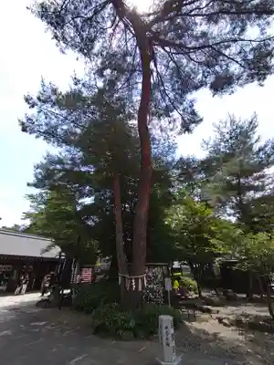 櫻木神社(千葉県)