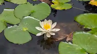 大原野神社(京都府)
