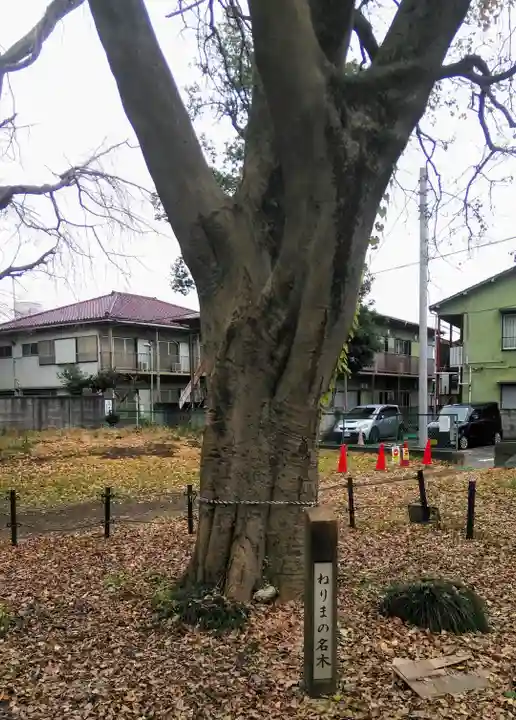 春日神社の自然