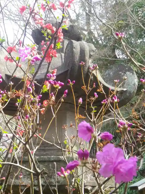 安國論寺(安国論寺)の自然