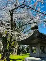 守りの神 藤基神社(新潟県)