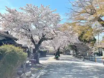 河脇神社(滋賀県)