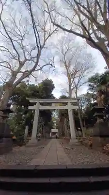 代々木八幡宮の鳥居