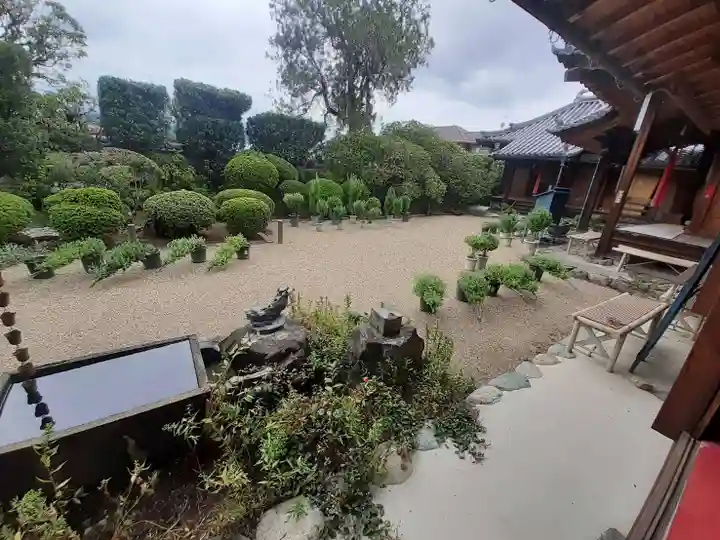 金剛寺(奈良県)