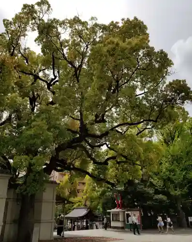 富岡八幡宮のその他建物
