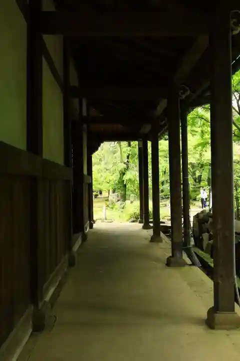 豪徳寺(東京都)