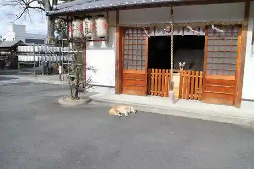 縣神社の建物その他