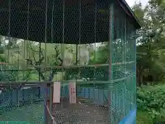 進雄神社(群馬県)