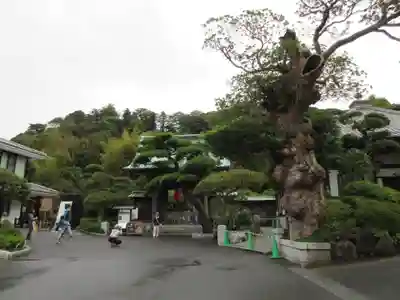 長谷寺のその他建物