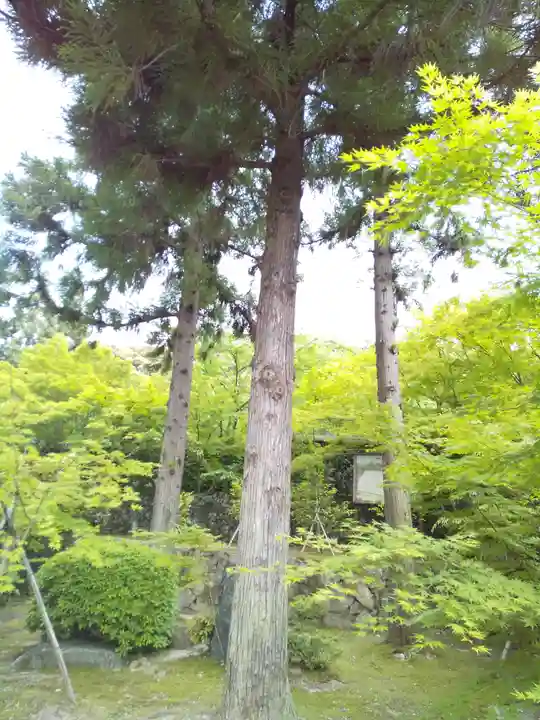 酬恩庵一休寺(京都府)