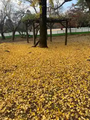 手向山八幡宮(奈良県)