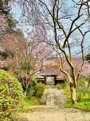 龍谷院の{uncategorized: "未分類", other: "その他", undefined: "問題あり", building: "その他建物", grave: "お墓", sacred_gate: "鳥居", guardian: "狛犬", statue: "像", buddha: "仏像", history: "歴史", nature: "自然", garden: "庭園", animal: "動物", pagoda: "塔", temizu: "手水舎", mountain_gate: "山門・神門", sanctuary: "本殿・本堂", subordinate: "末社・摂社", art: "芸術", scenery: "景色", jizo: "地蔵", ema: "絵馬", goshuin: "御朱印", omikuji: "おみくじ", items: "授与品その他", amulet: "お守り", goshuincho: "御朱印帳", eats: "食事", festival: "お祭り", votive_dance: "神楽", shichigosan: "七五三参", wedding: "結婚式", experience: "体験その他", initially: "初詣", around: "周辺", anti_infection: "感染症対策"}