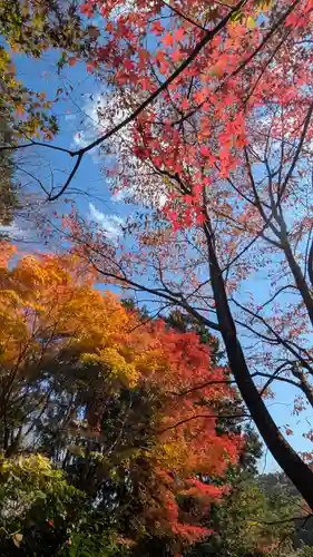 十輪寺(京都府)