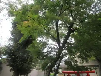駒留八幡神社(東京都)