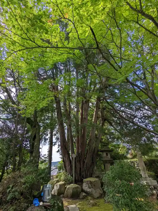 補陀洛寺(京都府)