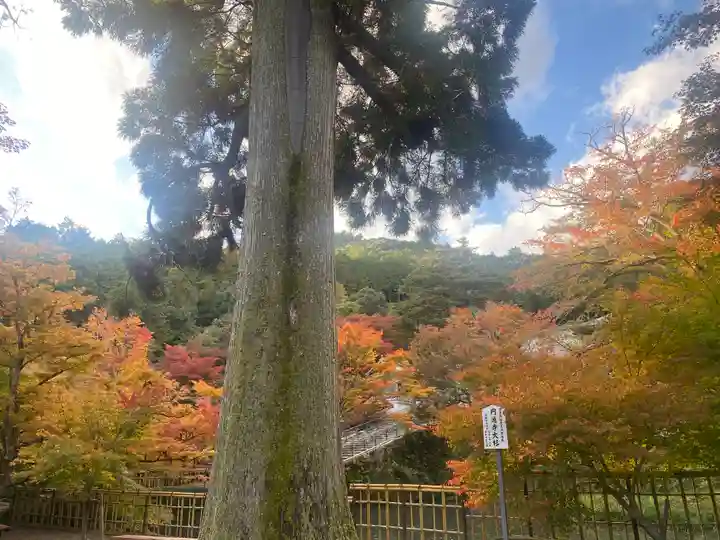 円通寺(兵庫県)