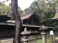 長浜八幡宮の本殿・本堂