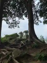 琴平神社の建物その他