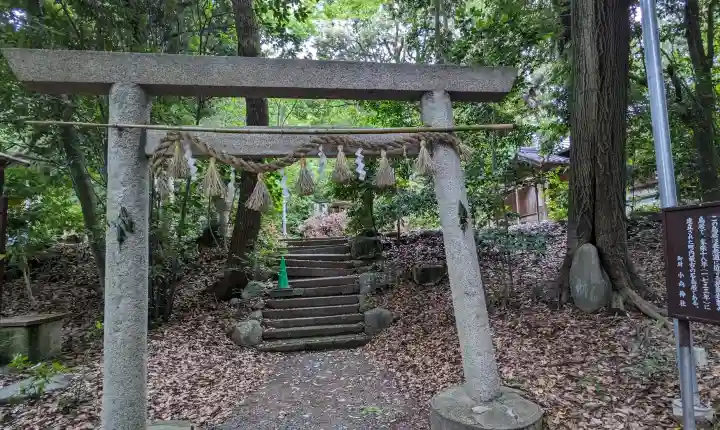 小向神社の{uncategorized: "未分類", other: "その他", undefined: "問題あり", building: "その他建物", grave: "お墓", sacred_gate: "鳥居", guardian: "狛犬", statue: "像", buddha: "仏像", history: "歴史", nature: "自然", garden: "庭園", animal: "動物", pagoda: "塔", temizu: "手水舎", mountain_gate: "山門・神門", sanctuary: "本殿・本堂", subordinate: "末社・摂社", art: "芸術", scenery: "景色", jizo: "地蔵", ema: "絵馬", goshuin: "御朱印", omikuji: "おみくじ", items: "授与品その他", amulet: "お守り", goshuincho: "御朱印帳", eats: "食事", festival: "お祭り", votive_dance: "神楽", shichigosan: "七五三参", wedding: "結婚式", experience: "体験その他", initially: "初詣", around: "周辺", anti_infection: "感染症対策"}