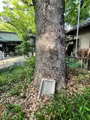 天神ノ森天満宮(大阪府)
