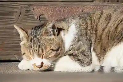 阿邪訶根神社(福島県)
