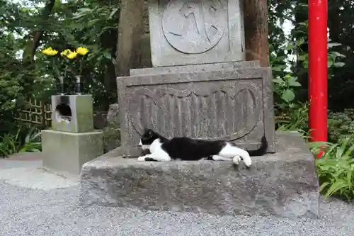 水澤寺(水澤観世音)の動物