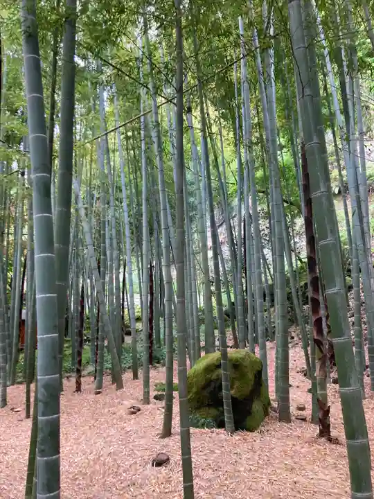報国寺(神奈川県)