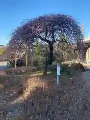 朝日森天満宮の庭園