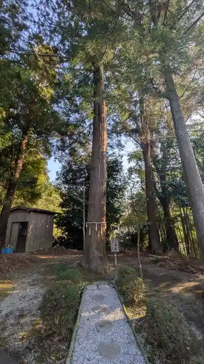 津田天満宮(八王子神社飛地境内)(滋賀県)