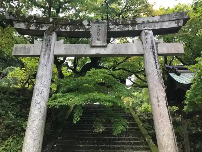 養父神社の鳥居