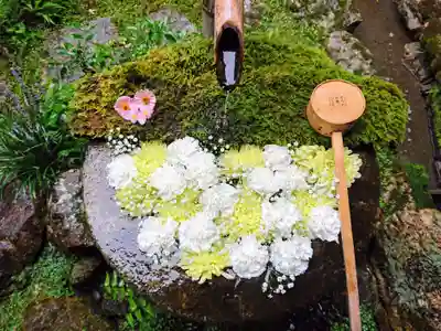 柳谷観音 楊谷寺の手水舎