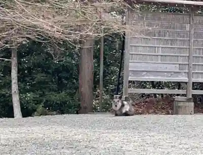 大島神社(宮城県)