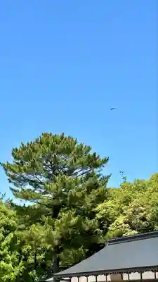 橿原神宮(奈良県)