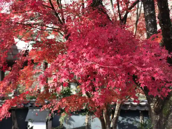 木舟山 順教寺の自然