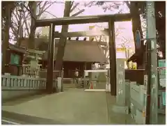 高円寺氷川神社の鳥居