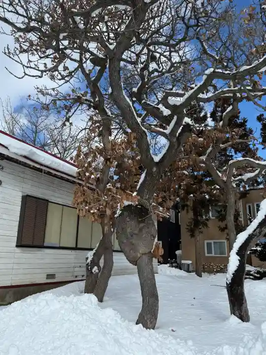 七重浜稲荷神社の{uncategorized: "未分類", other: "その他", undefined: "問題あり", building: "その他建物", grave: "お墓", sacred_gate: "鳥居", guardian: "狛犬", statue: "像", buddha: "仏像", history: "歴史", nature: "自然", garden: "庭園", animal: "動物", pagoda: "塔", temizu: "手水舎", mountain_gate: "山門・神門", sanctuary: "本殿・本堂", subordinate: "末社・摂社", art: "芸術", scenery: "景色", jizo: "地蔵", ema: "絵馬", goshuin: "御朱印", omikuji: "おみくじ", items: "授与品その他", amulet: "お守り", goshuincho: "御朱印帳", eats: "食事", festival: "お祭り", votive_dance: "神楽", shichigosan: "七五三参", wedding: "結婚式", experience: "体験その他", initially: "初詣", around: "周辺", anti_infection: "感染症対策"}