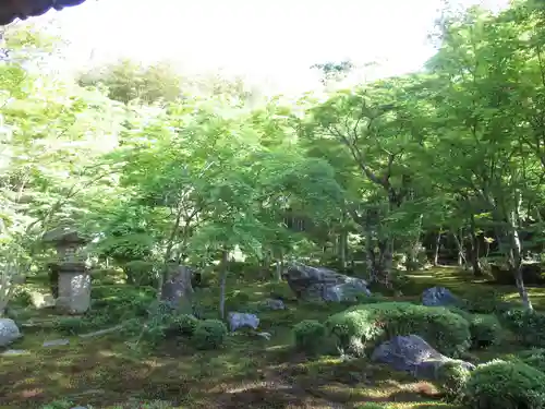 圓光寺の庭園