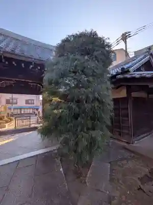 経王寺(東京都)