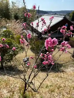 谷崎天神社の{uncategorized: "未分類", other: "その他", undefined: "問題あり", building: "その他建物", grave: "お墓", sacred_gate: "鳥居", guardian: "狛犬", statue: "像", buddha: "仏像", history: "歴史", nature: "自然", garden: "庭園", animal: "動物", pagoda: "塔", temizu: "手水舎", mountain_gate: "山門・神門", sanctuary: "本殿・本堂", subordinate: "末社・摂社", art: "芸術", scenery: "景色", jizo: "地蔵", ema: "絵馬", goshuin: "御朱印", omikuji: "おみくじ", items: "授与品その他", amulet: "お守り", goshuincho: "御朱印帳", eats: "食事", festival: "お祭り", votive_dance: "神楽", shichigosan: "七五三参", wedding: "結婚式", experience: "体験その他", initially: "初詣", around: "周辺", anti_infection: "感染症対策"}