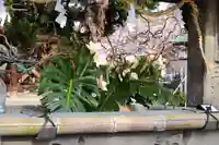 三津厳島神社(愛媛県)