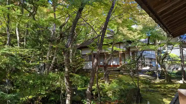 常寂光寺(京都府)